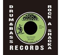 You'll Never Know [VINYL]