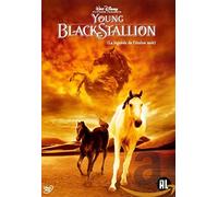 YOUNG BLACK STALLION - VARIOUS