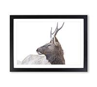 Young Elk Painting Framed Print | A2 Black Framed Wall Art | Ready to Hang | Modern Historical Picture | Living Room Bedroom Lounge Office