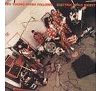 Young Fresh Fellows - Electric Bird Digest