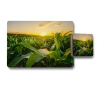 young green corn growing on the field at sunset placemat coaster set placemat coaster set Benjamin Tate Design Natural One Size