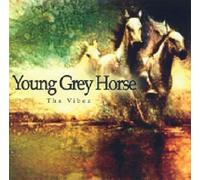 Young Grey Horse - The Vibez