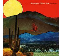 Young Gun Silver Fox - Canyons