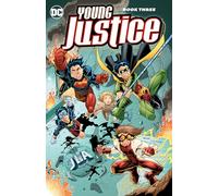 Young Justice Book 3