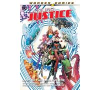 Young Justice Volume 2: Lost in the Multiverse
