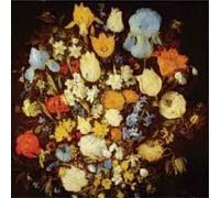 Young Moon - Navigated Like The Swan