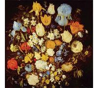 Young Moon - Navigated Like The Swans [VINYL]