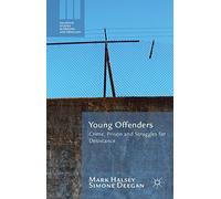Young Offenders: Crime, Prison and Struggles for Desistance (Palgrave Studies in Prisons and Penology)