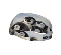 Young Penguins with Snow Printed Unisex Sports Sweatband Headband - Moisture Wicking, Breathable & Stretchy Fitness Headwear for Running, Yoga, Gym & Outdoor Activities