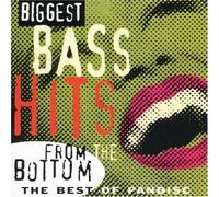 Young & the Restless - Biggest Bass Hits from the Bot