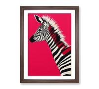 Young Zebra Framed Print | A4 Walnut Framed Wall Art | Ready to Hang | Modern Animal Picture | Living Room Bedroom Lounge Office