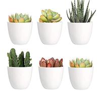 Youngever 10 Pack 8CM Mini Plastic Planters Indoor Flower Plant Pots, White Gardening Pot with Drainage for All House Plants, Flowers, Herbs, Succulents, NO Plant Included (Modern)