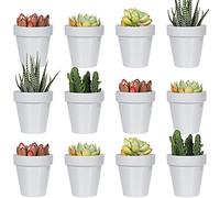 Youngever 24 Pack 5CM Mini Plastic Planters, Indoor Flower Plant Pots, Grey Gardening Pot with Drainage - NO Plant Included (Classic)