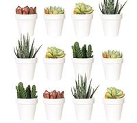 Youngever 24 Pack 5CM Mini Plastic Planters, Indoor Flower Plant Pots, White Gardening Pot with Drainage - NO Plant Included (Classic)