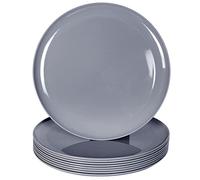 Youngever 9 Pack 25CM Plastic Plates, Large Plates, Dinner Plates, Set of 9 (Dark Grey)