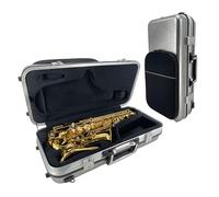 YoungMonic Silver Lightweight Waterproof Shockproof Carbon Fiber Alto Sax Case, with Key Lock, Double Handles, Thicken Padded Shoulder Strap & Music Pocket Alto Saxophone Backpacks