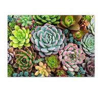 younikat 100 Placemats with Succulent Plants Design I DIN A3 Square I Paper Placemat I Modern Design I Disposable Place Mat I Green I Catering and Home Use I dv1256