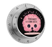 Your Anxiety Is A Lying Bitch Kitchen Timers for Cooking Classroom