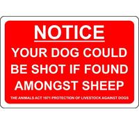 Your dog could be shot if found amongst sheep Farm livestock safety sign - 1.2mm Rigid plastic 300mm x 200mm