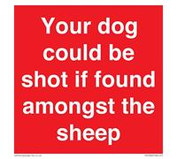 Your dog could be shot if found amongst the sheep Sign - 150x150mm - S15