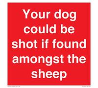 Your dog could be shot if found amongst the sheep Sign - 200x200mm - S20