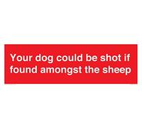 Your dog could be shot if found amongst the sheep Sign - 450x150mm - L41