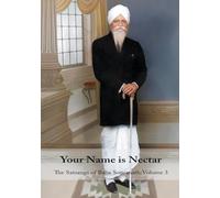 Your Name is Nectar: Volume 3: The Satsangs of Baba Somanath