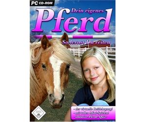 Your own horse - how you learn to ride