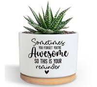You're Awesome Funny Succulent Plant Pot, Cute 3.5 Inch Small Ceramic Cactus Planter Pot with Drainage, Home Office Desk Decor for Friends Coworker Birthday Christmas Housewarming Gifts (No Plants)