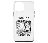 You're Looking At A Legend St Patricks Day Clurichaun Case for iPhone 12 mini