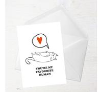 You're My Favourite Human From The Cat Greetings Card - Standard Card