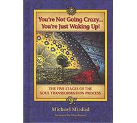 You're Not Going Crazy... You're Just Waking Up!: The Five Stages of Soul Transformation Process