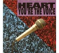 You're The Voice [7" ETCHED VINYL]