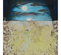 YOURS ARE THE ONLY EARS - WE KNOW THE SKY [VINYL]