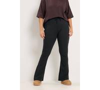 Yours Curve Cotton Flared Leggings - Women's - Plus Size Curve