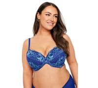Yours Curve Navy Contrast Lace Detail Padded Bra - Women's - Plus Size Curve