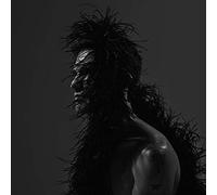 Chris Garneau - Yours [VINYL]