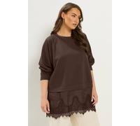 Yours Women's Lace 2-In-1 Jumper in Chocolate | Size: 20