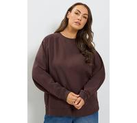 Yours Women's Raglan Oversized Sweatshirt in Chocolate | Size: 18/20