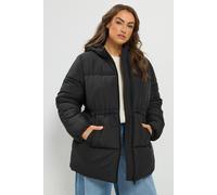 Yours Women's Short Padded Jacket in Black | Size: 22/24