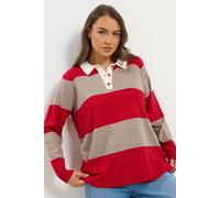 Yours Stripe Rugby Collar Jumper Multi 26-28