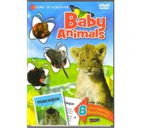 Yours To Discover... Baby Animals