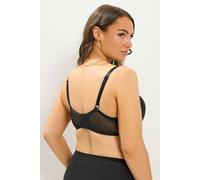 Yours Women's 2 Pack Moulded T-Shirt Bras in Black | Size: 50F