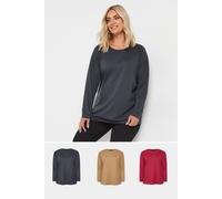 Yours 3 Pack Curve Natural Brown & Red Long Sleeve T-Shirts - Women's - Plus Size Curve