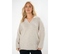 Yours Curve Brown Collared Knitted Jumper - Women's - Plus Size Curve