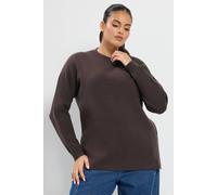 Yours Women's Crew Neck Knitted Premium Jumper in Brown | Size: 10-12 Yours Brown 10-12