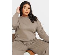 Yours Curve Light Long Sleeve Crew Neck Sweatshirt - Women's - Plus Size Curve Brown