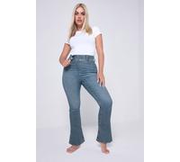 Yours Curve Wash Flare Jeggings - Women's - Plus Size Curve Blue
