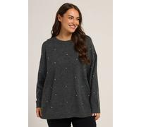 Yours Curve Embellished Front Jumper - Women's - Plus Size Curve Grey