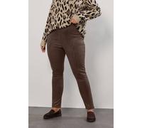 Yours Curve Chocolate Faux Suede Leggings - Women's - Plus Size Curve